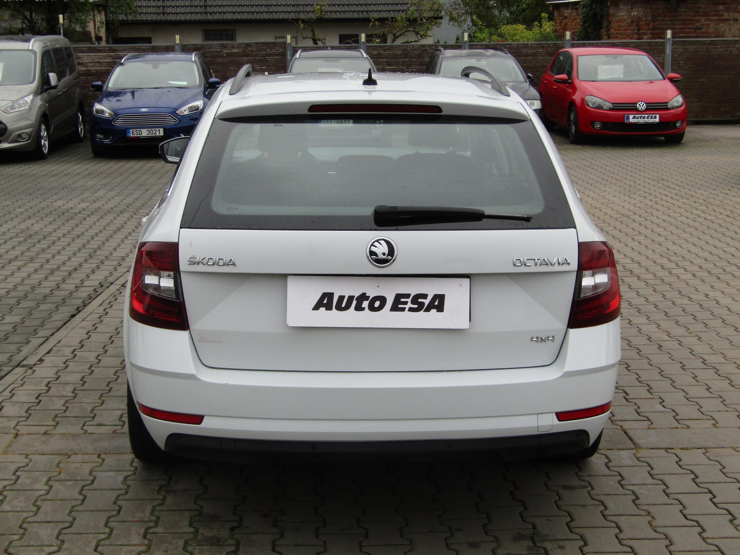 Škoda Octavia III, 2019 - pohled č. 5