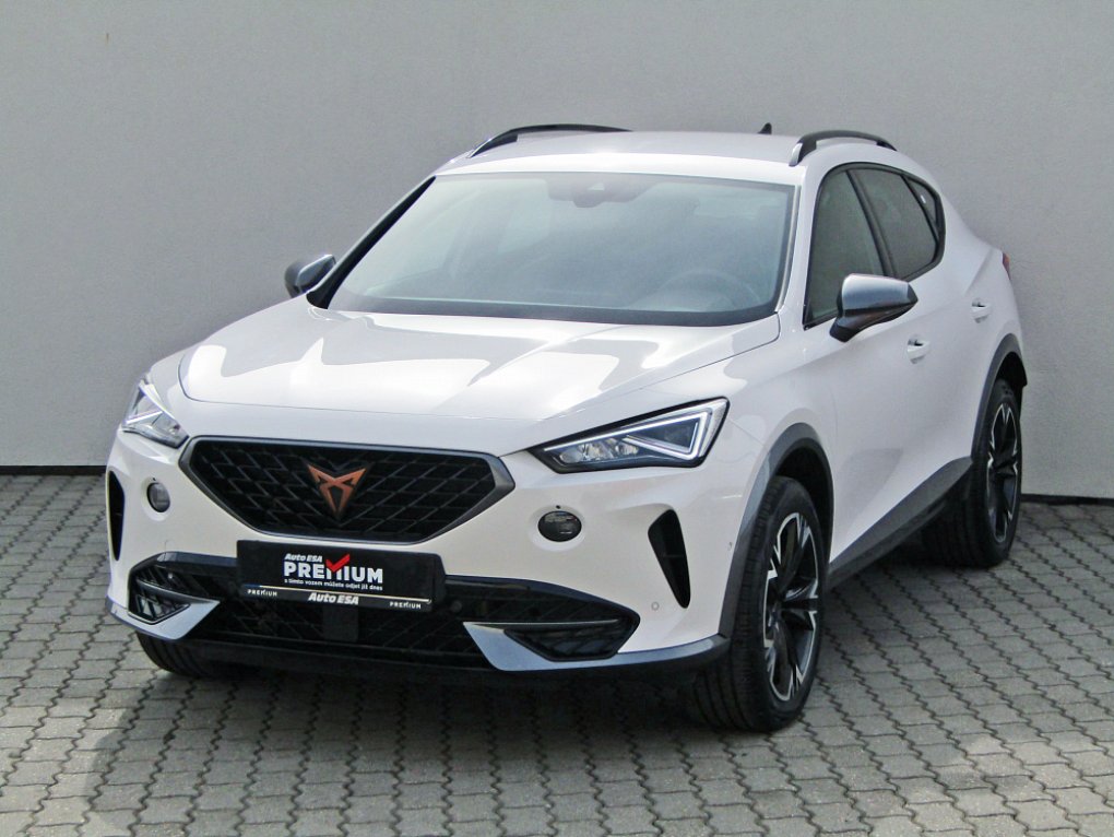 Cupra Formentor 2.5 TSI 