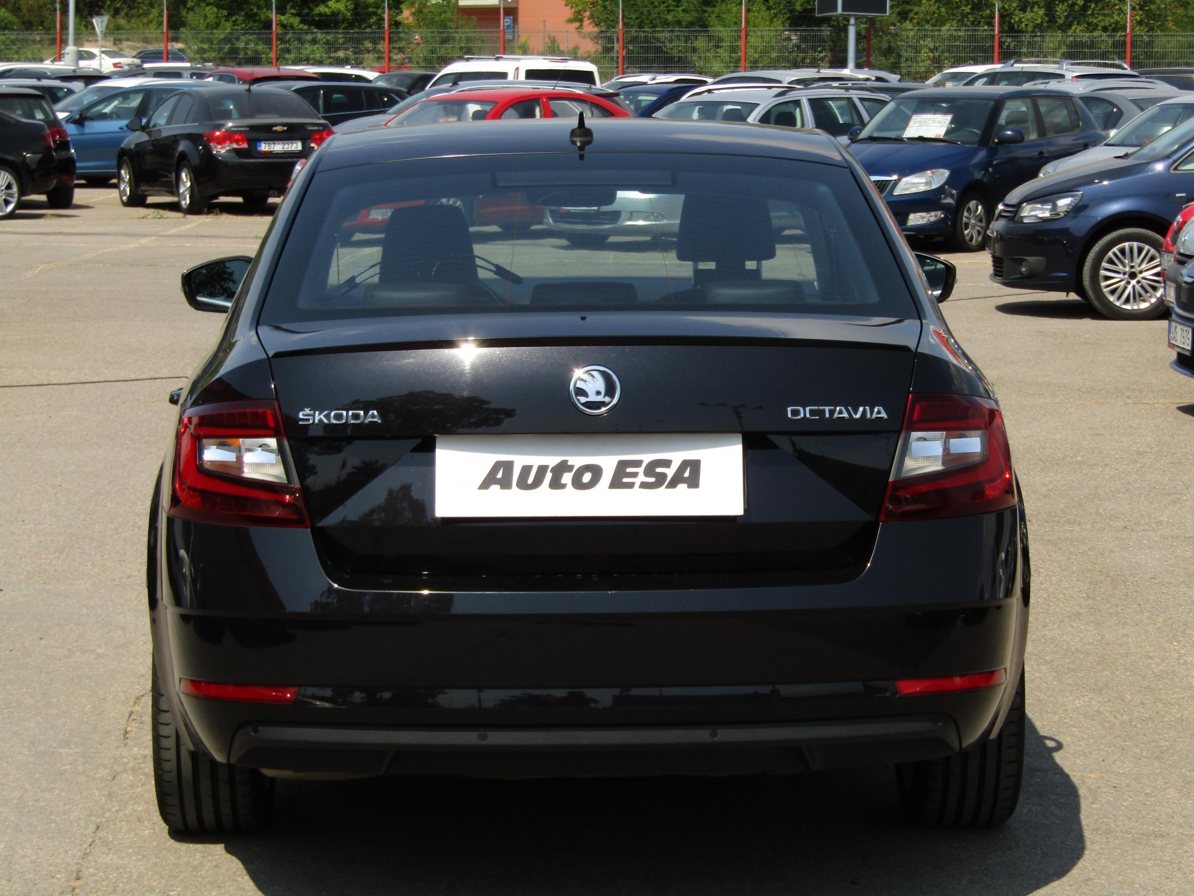 Škoda Octavia III, 2019 - pohled č. 5
