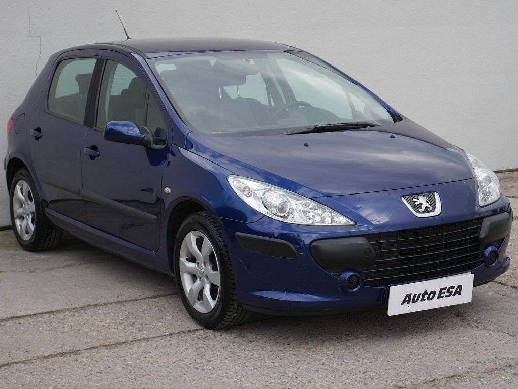 Peugeot 307 1.6i 