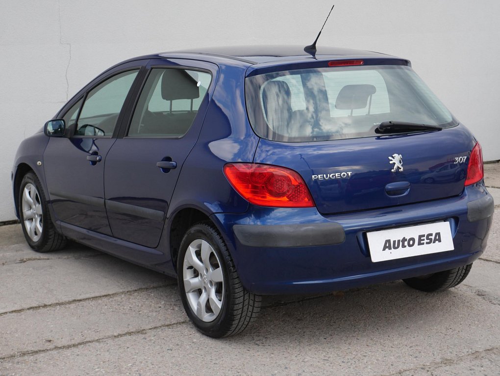 Peugeot 307 1.6i 
