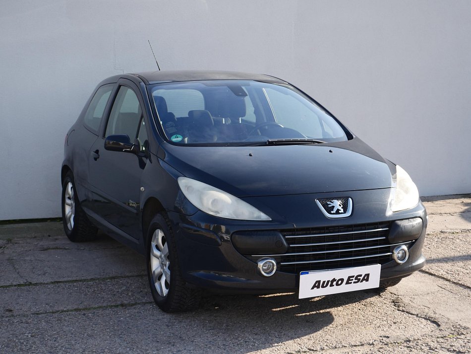 Peugeot 307 1.6i 