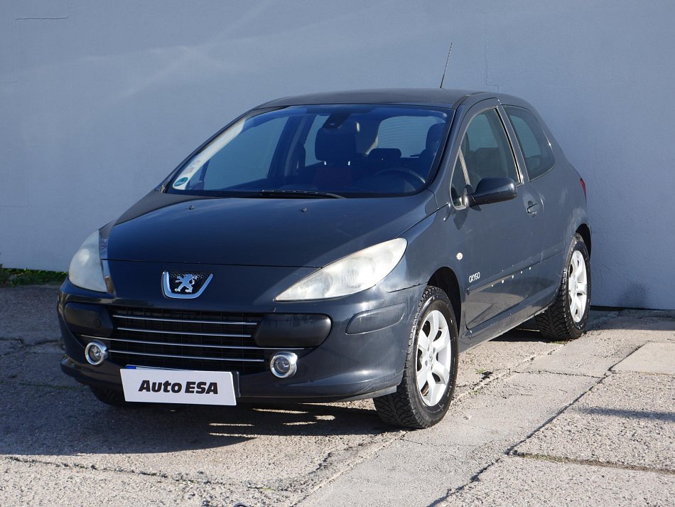 Peugeot 307 1.6i 