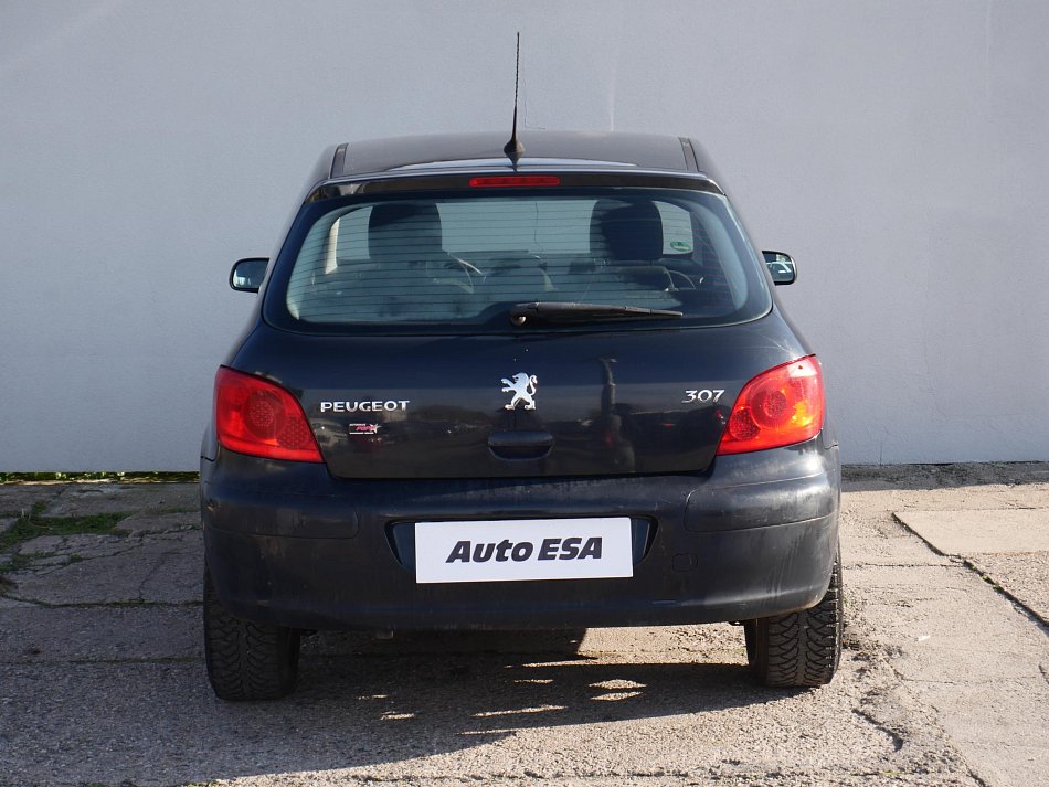 Peugeot 307 1.6i 