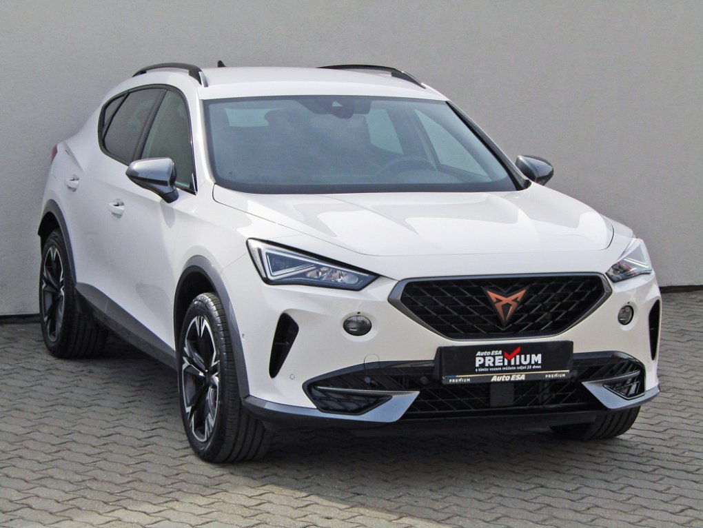 Cupra Formentor 2.0 TSi  4drive