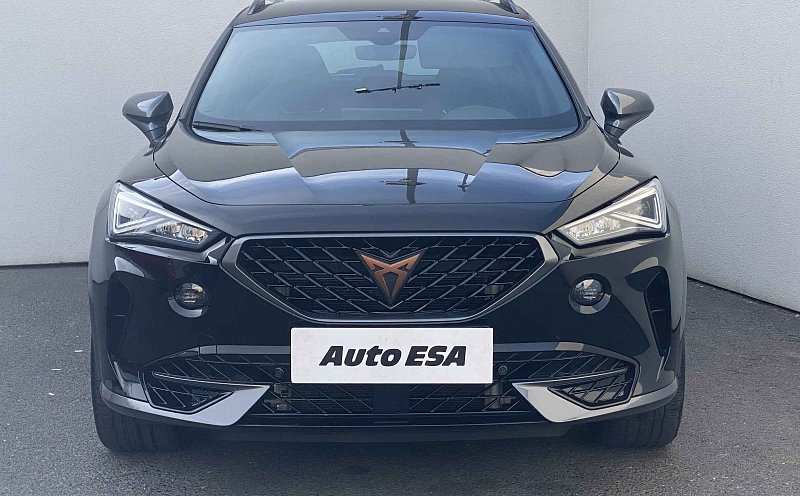 Cupra Formentor 2.0 TSi