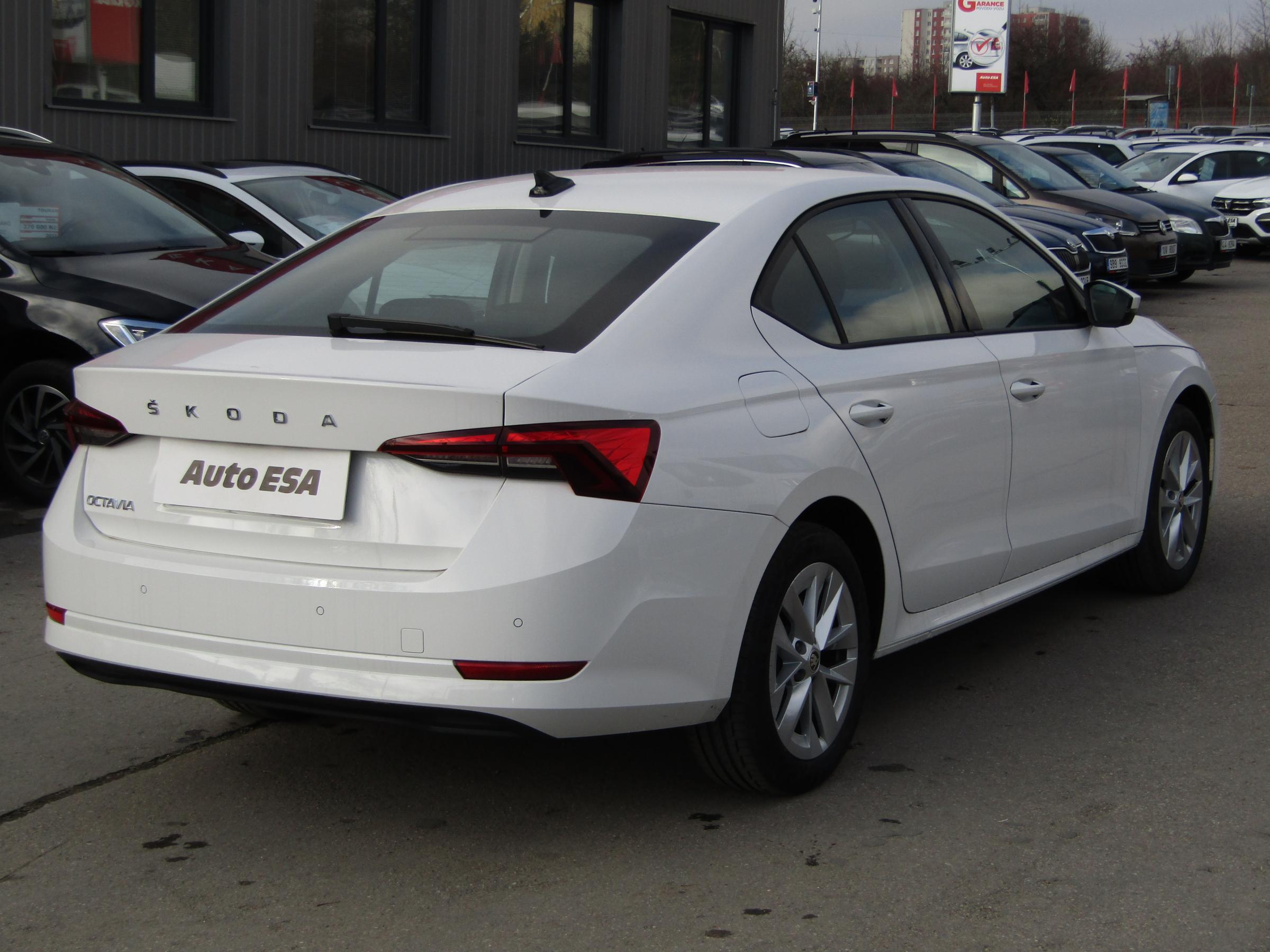 Škoda Octavia IV, 2024 - pohled č. 4