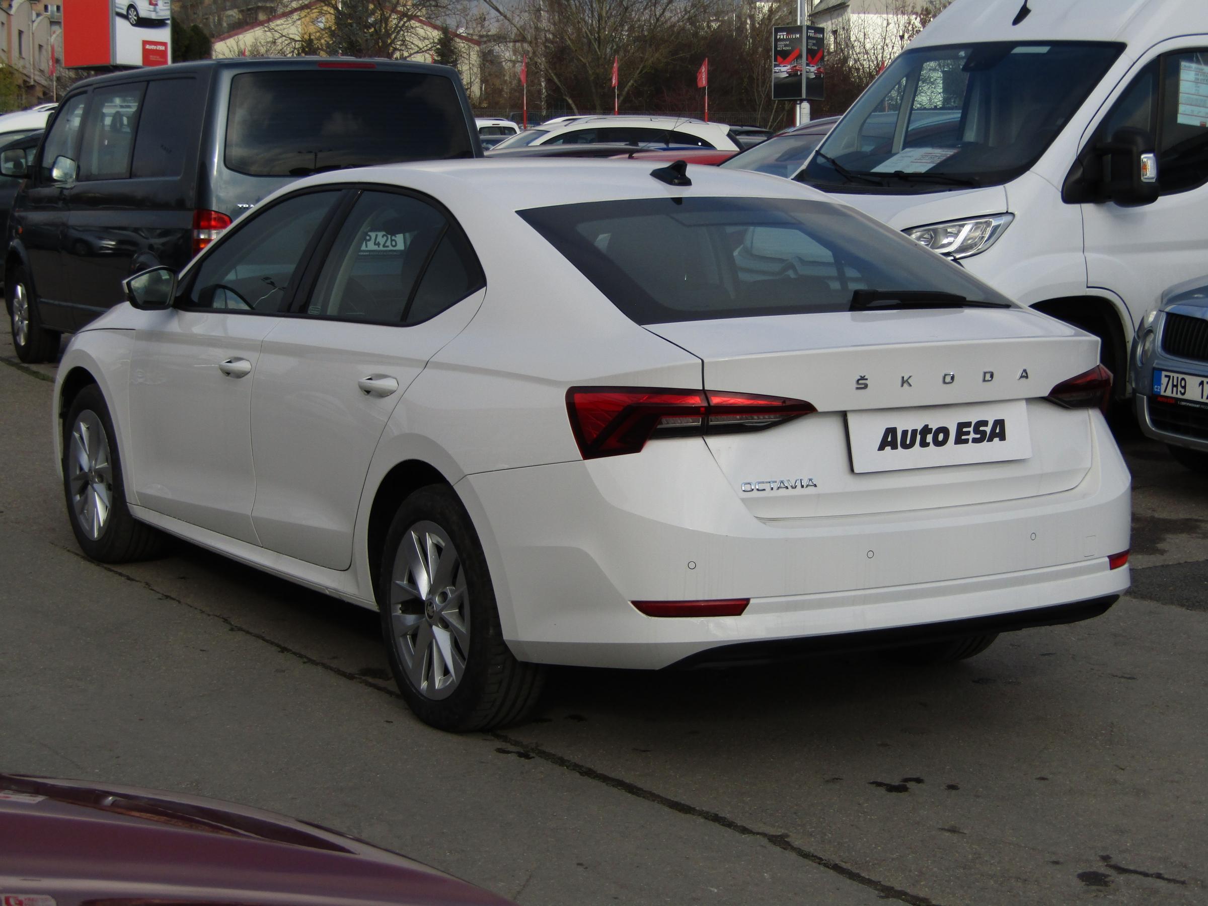 Škoda Octavia IV, 2024 - pohled č. 6