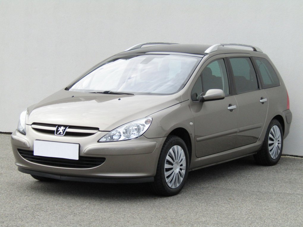 Peugeot 307 1.6i 