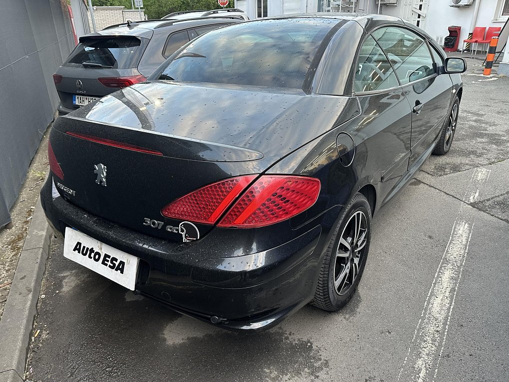 Peugeot 307 1.6 i 