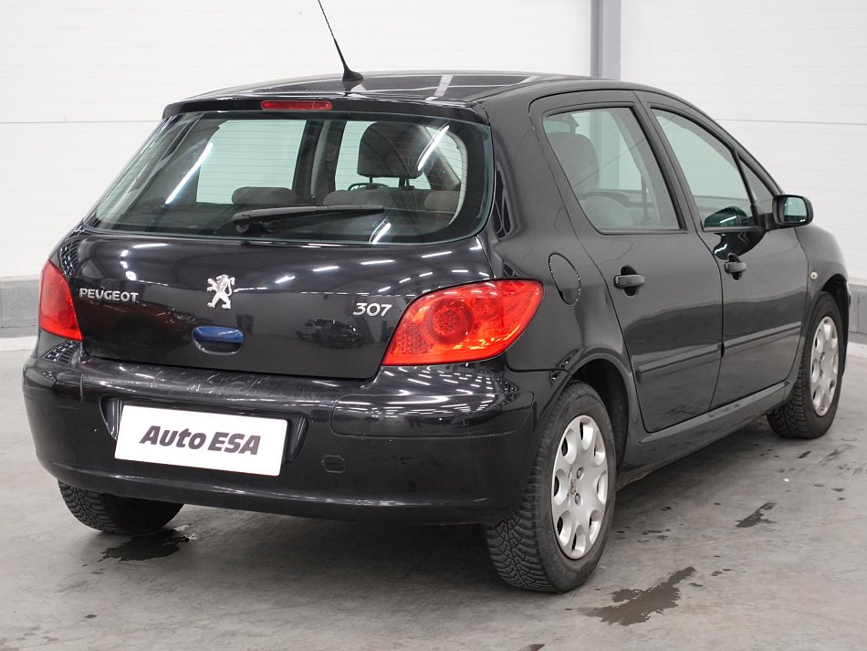 Peugeot 307 1.6i 