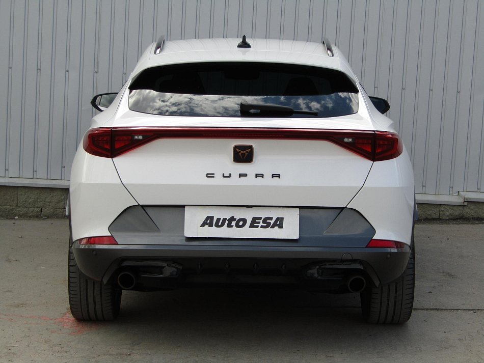 Cupra Formentor 2.0 TSi 