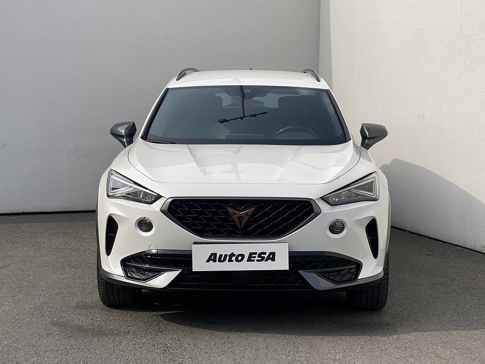 Cupra Formentor 2.0 TSi  4Drive