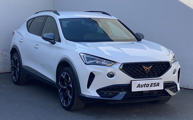 Cupra Formentor 2.0 TSi  4Drive