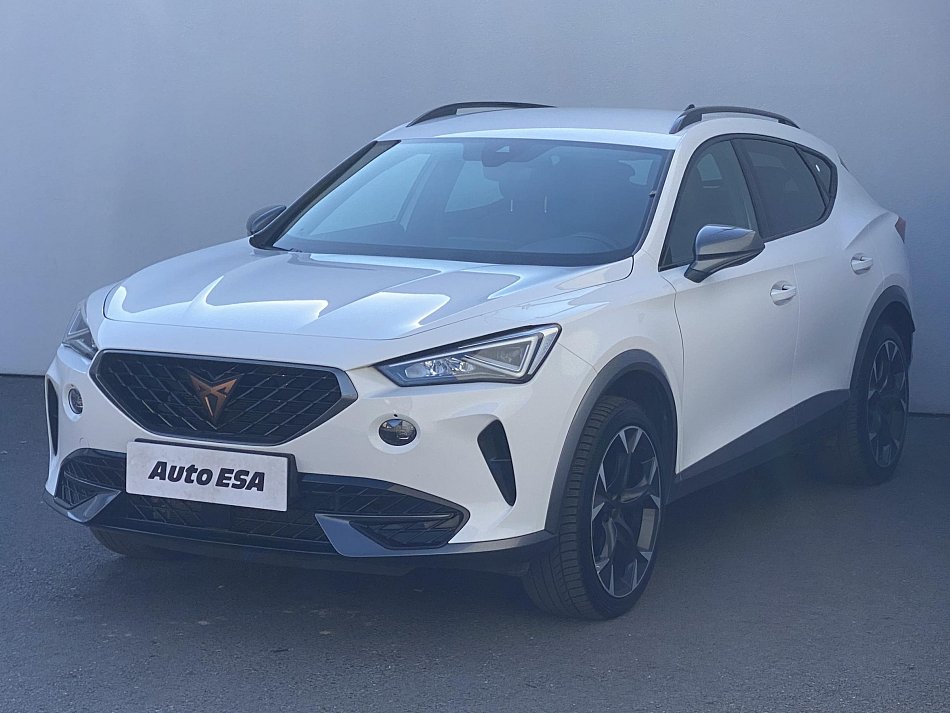 Cupra Formentor 2.0 TSi  4Drive