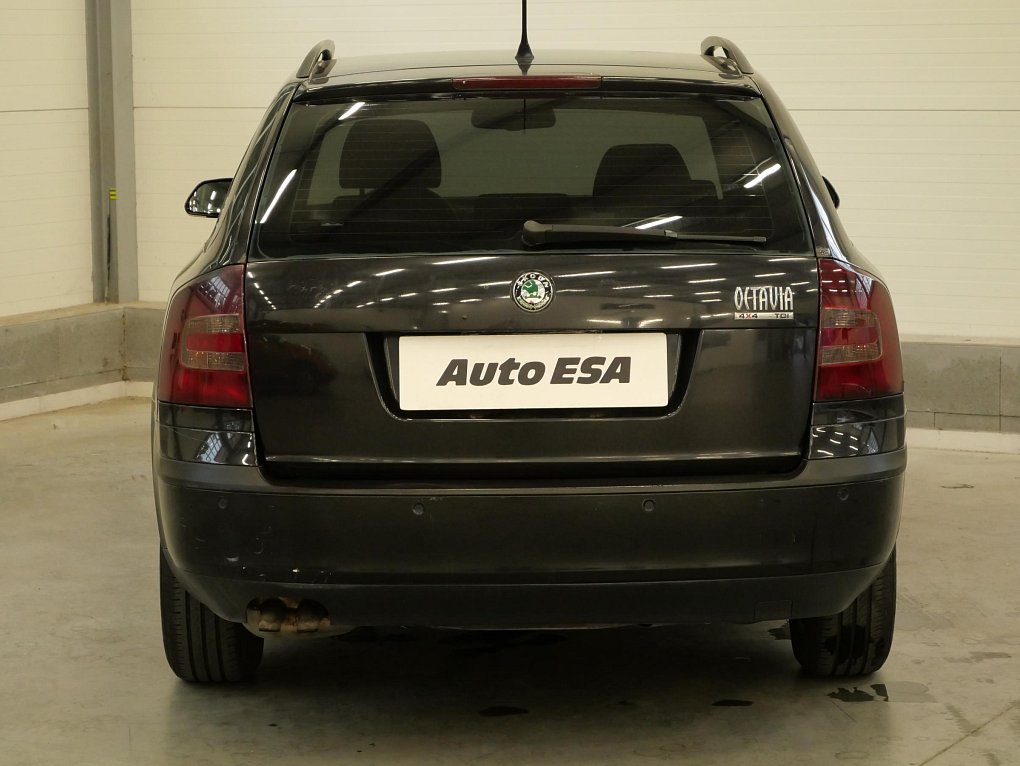 Škoda Octavia II 1.9tdi  4x4