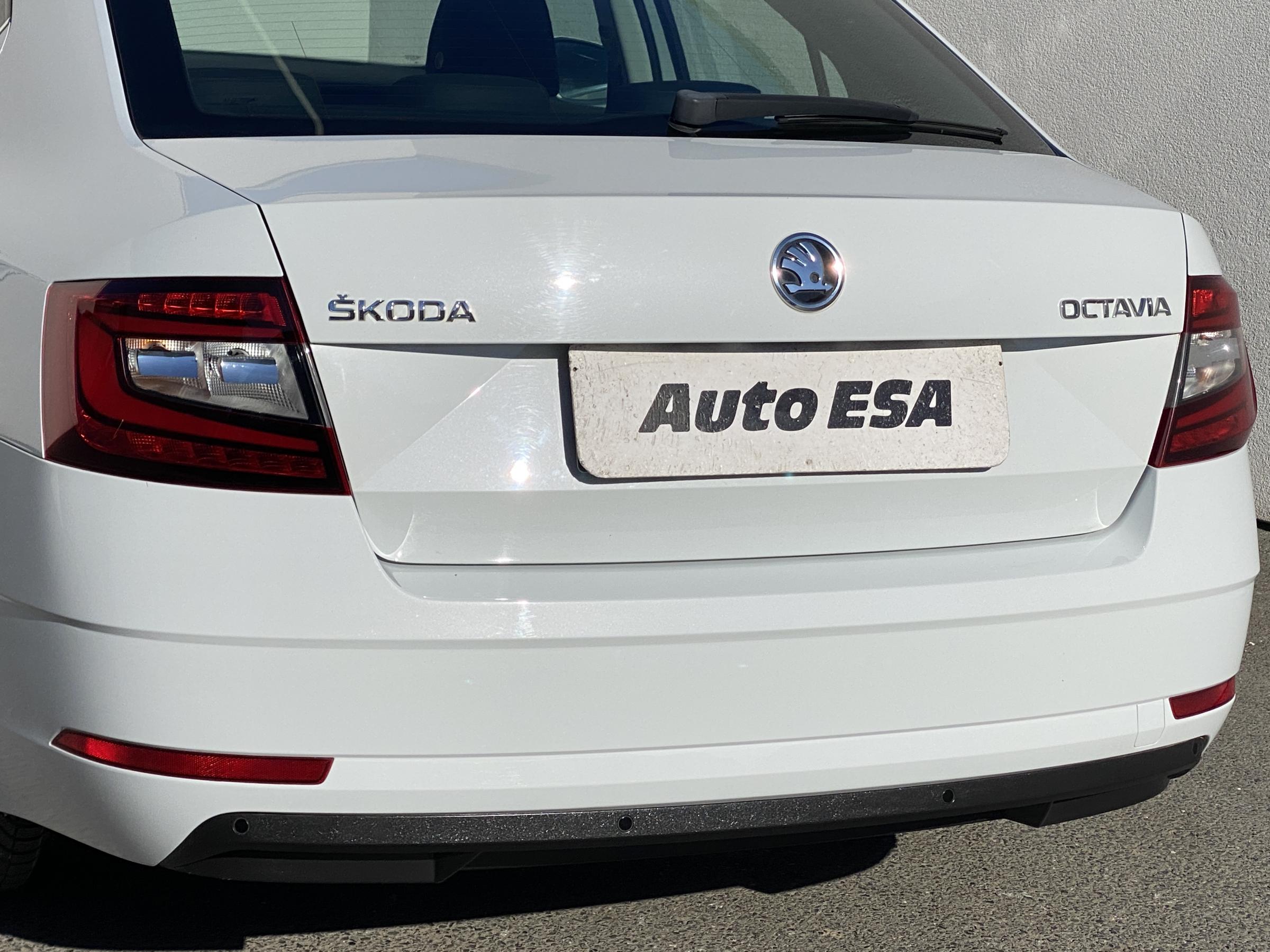 Škoda Octavia III, 2019 - pohled č. 17