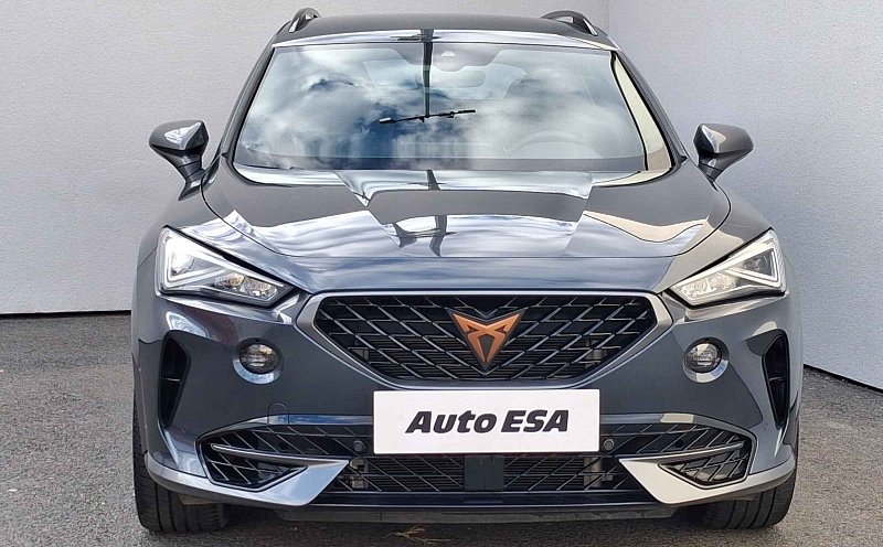 Cupra Formentor 2.0 TSi