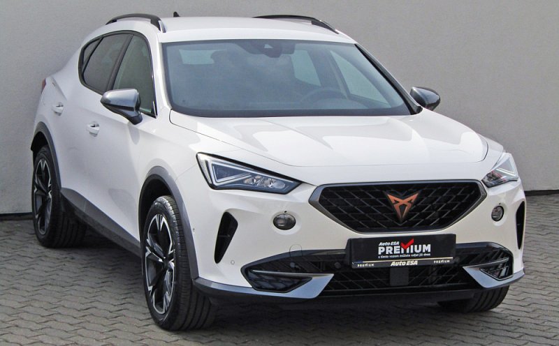 Cupra Formentor 2.0 TSI 