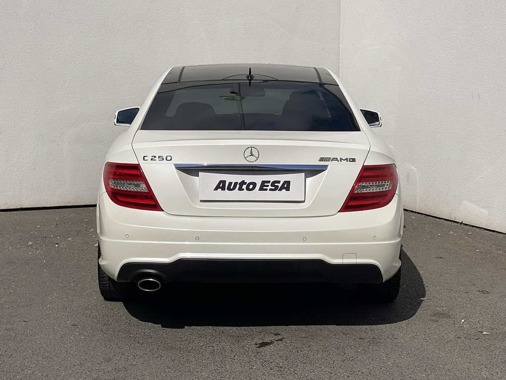 Mercedes-Benz Třída C 2.2 CDi  C 250 CDI