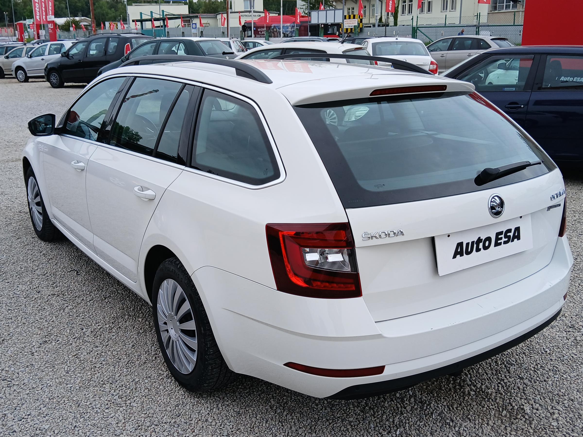 Škoda Octavia III, 2019 - pohled č. 6
