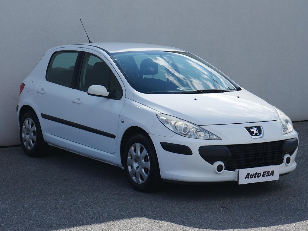 Peugeot 307 1.6 HDi 