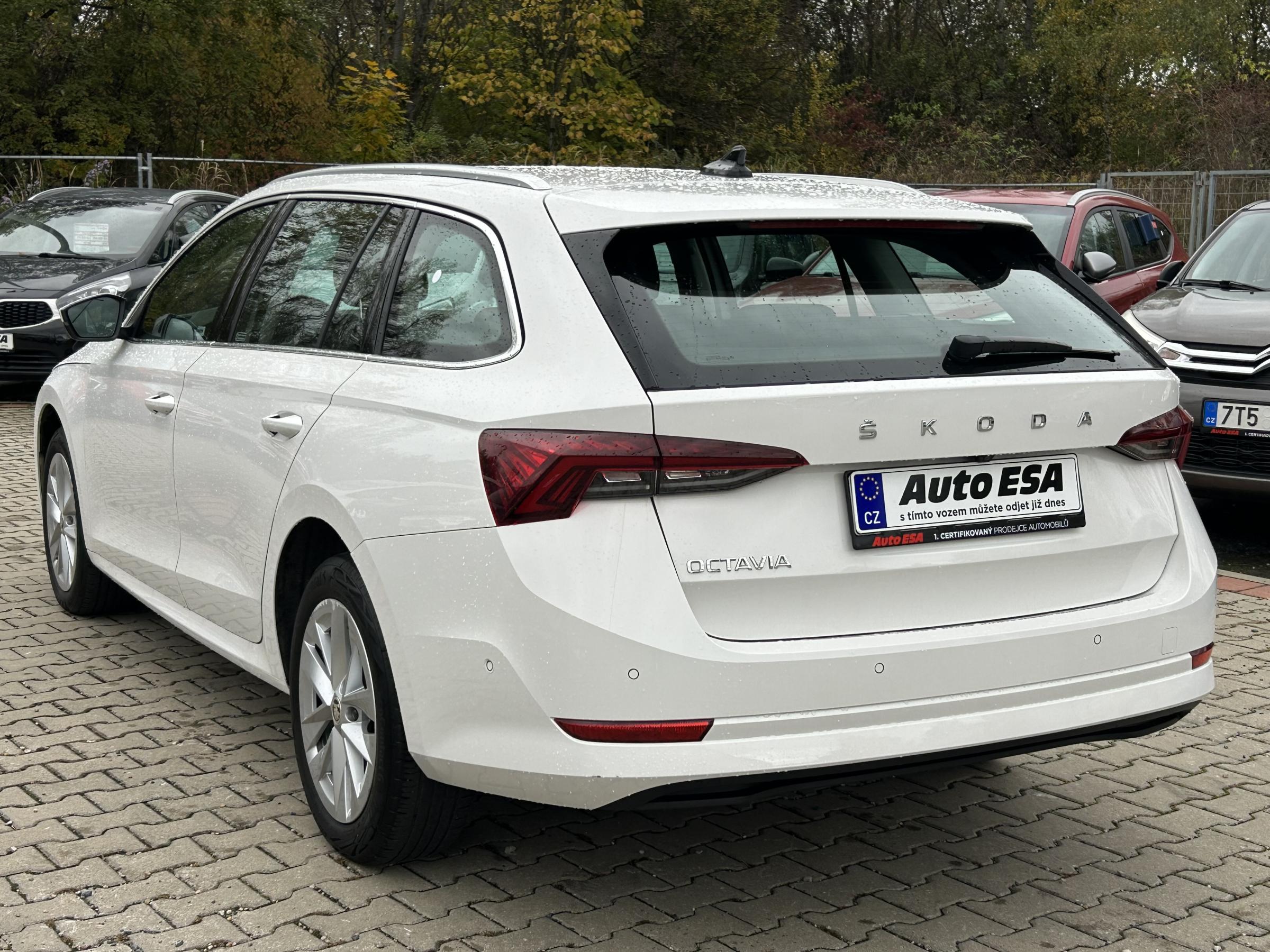 Škoda Octavia IV, 2022 - pohled č. 6
