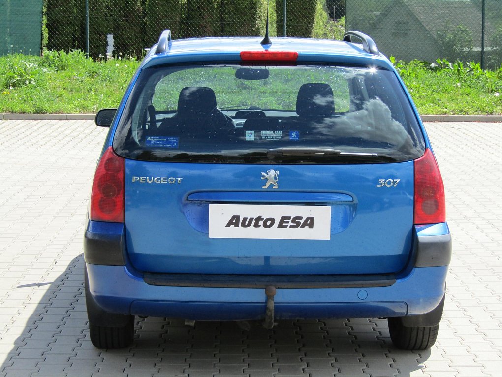 Peugeot 307 1.6 i 