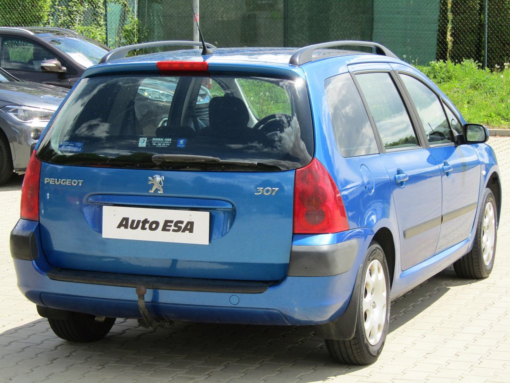 Peugeot 307 1.6 i 