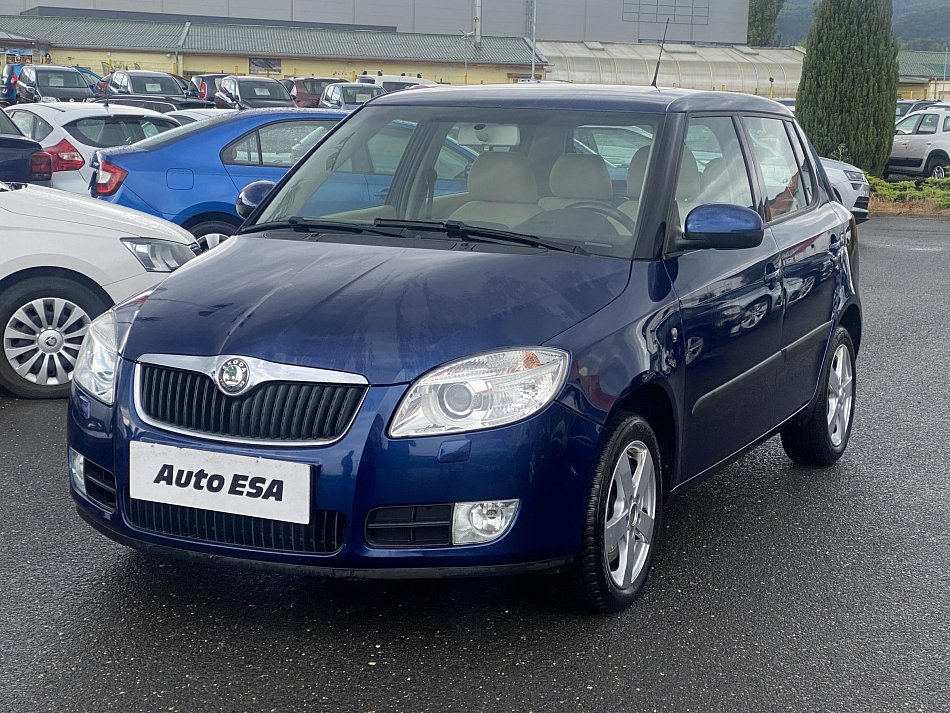 Škoda Fabia II 1.9TDI 