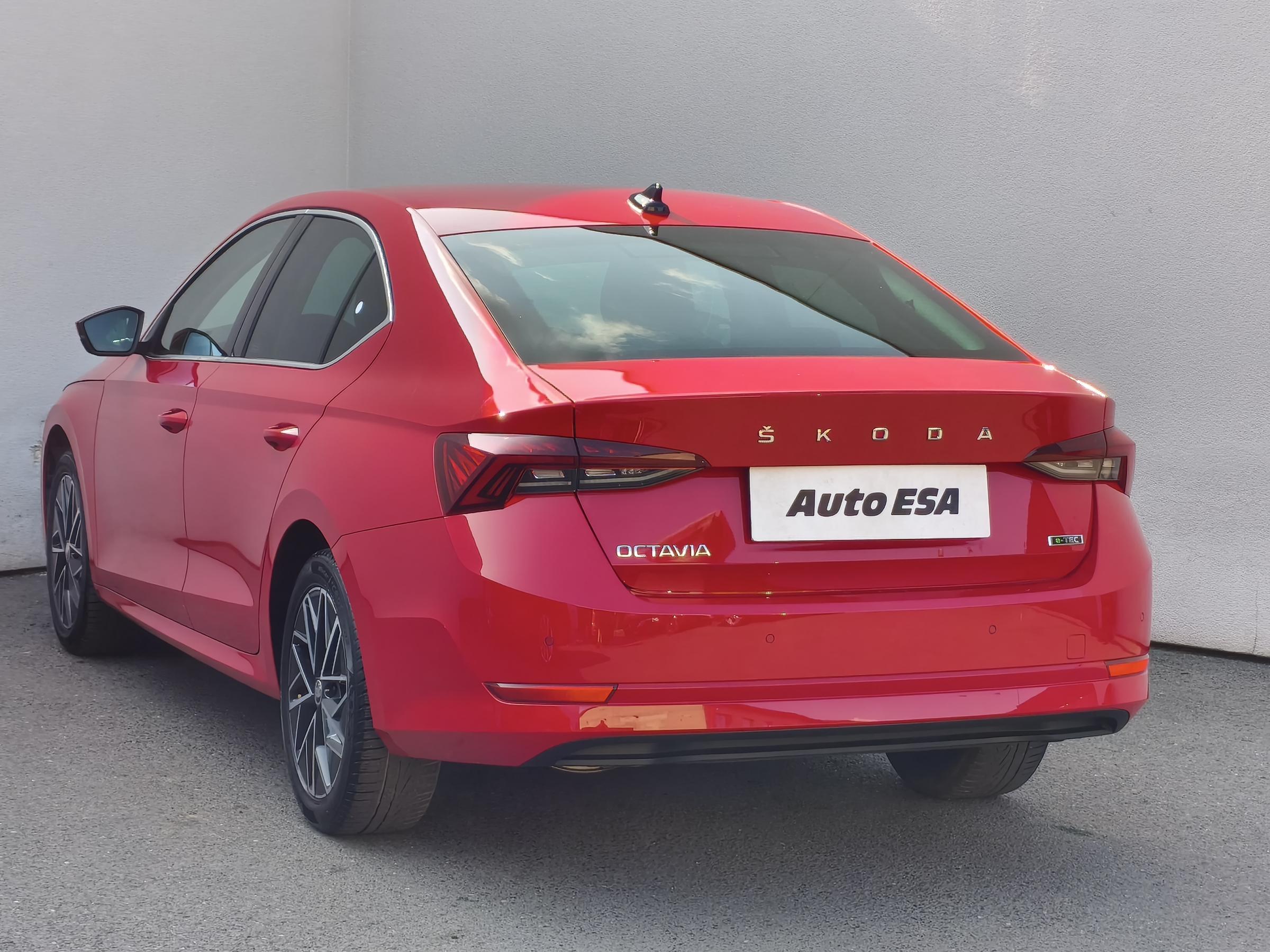 Škoda Octavia IV, 2021 - pohled č. 6