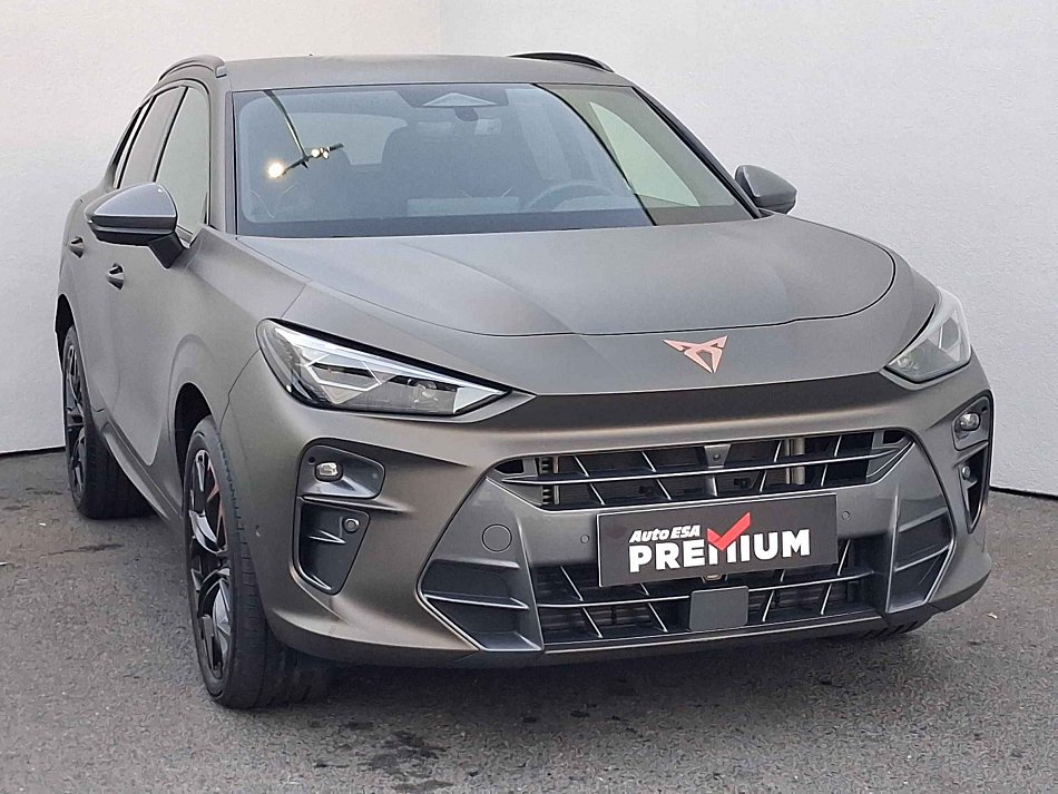 Cupra Terramar 2.0TSi  4x4