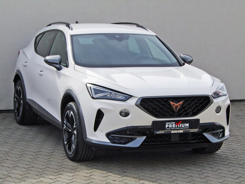 Cupra Formentor 2.0 TSi  4Drive