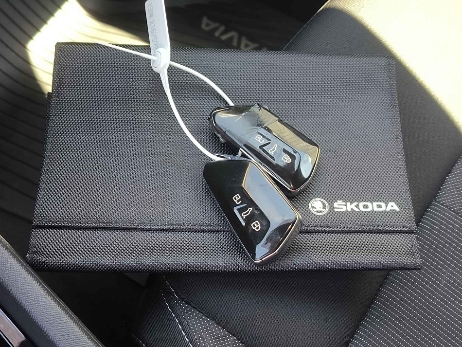 Škoda Octavia IV 2.0 TSi 4x4 Style 4x4