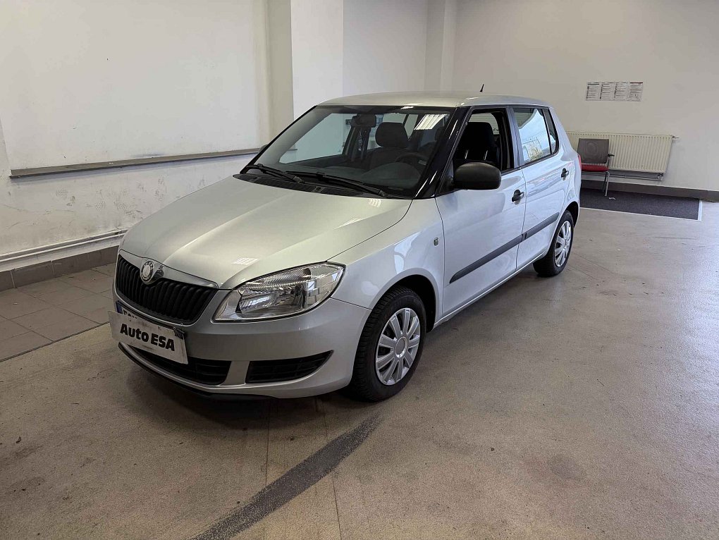Škoda Fabia II 1.2 12V 