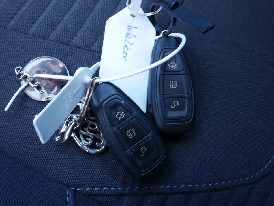 Ford Focus 1.5 EB 
