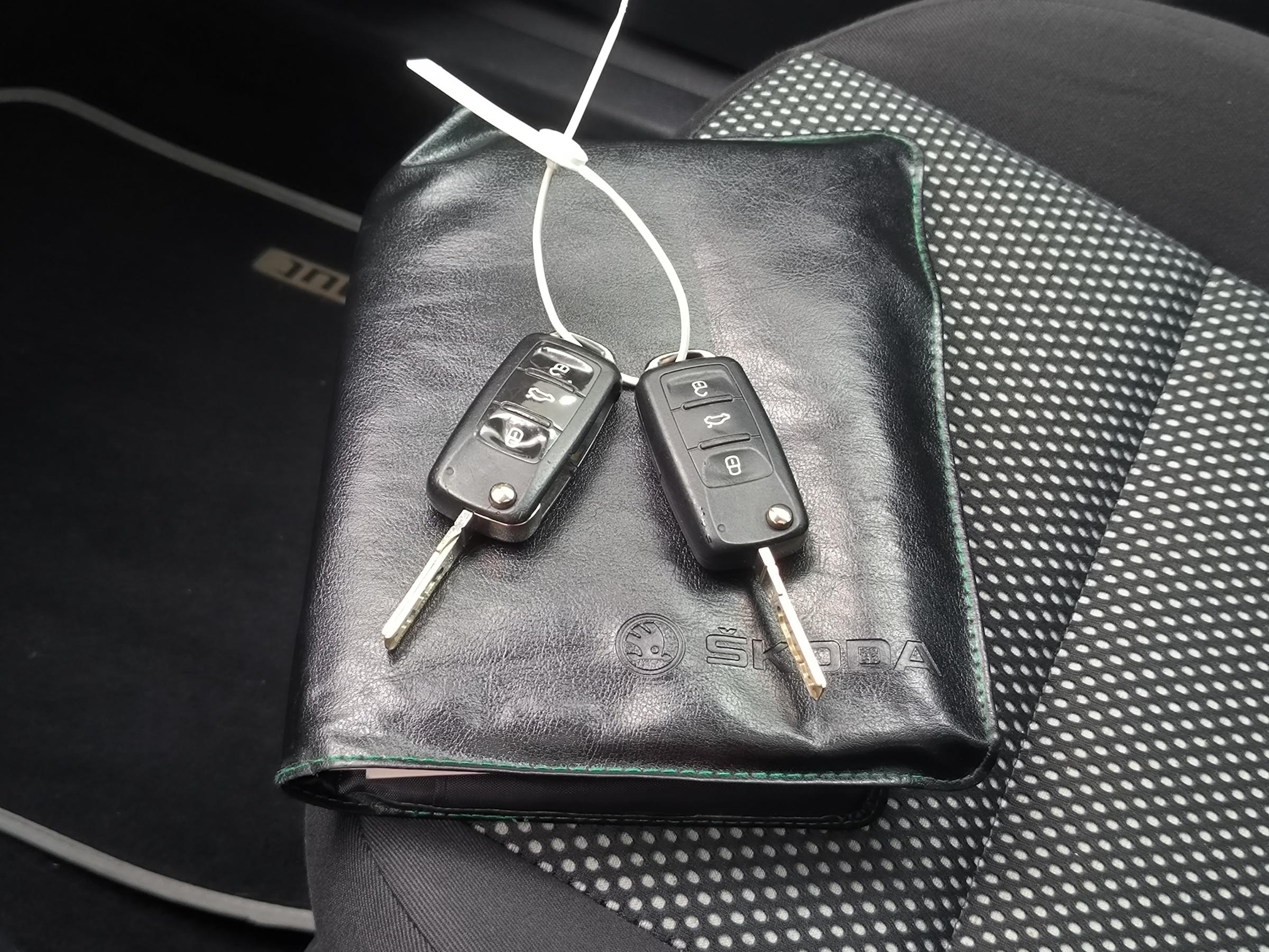 Škoda Roomster, 2012 - pohled č. 17